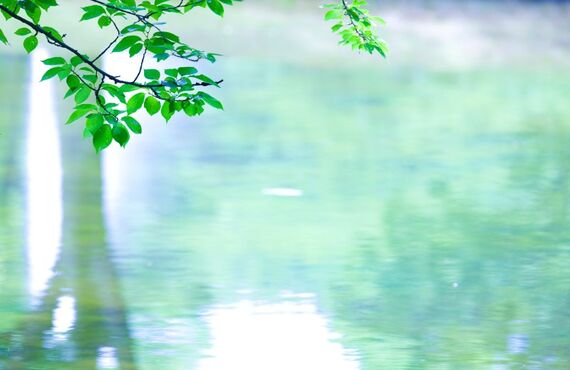 FIREWORKSアパレル ウェア紹介